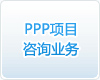 ppp項目咨詢(xún)業(yè)務(wù)